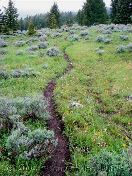 Winding trail