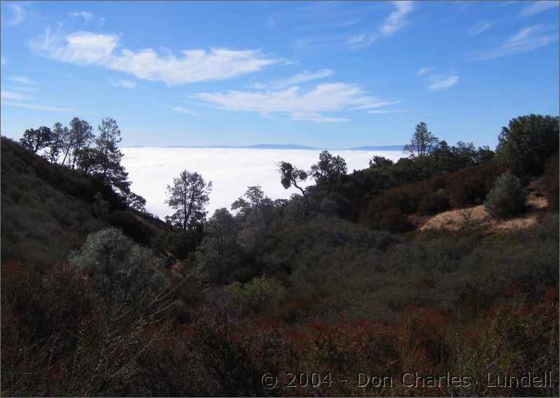 Above the clouds