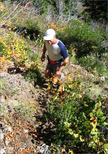 Leland's Ledge