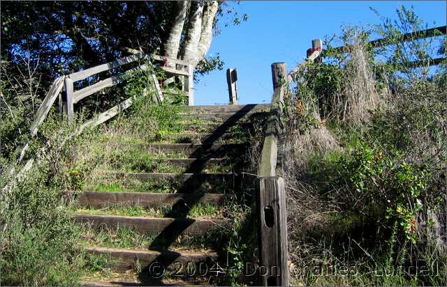 Stairs everywhere