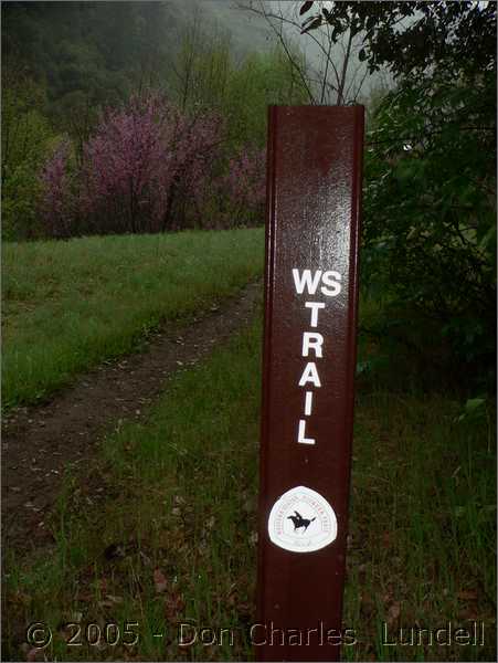 Trail marker