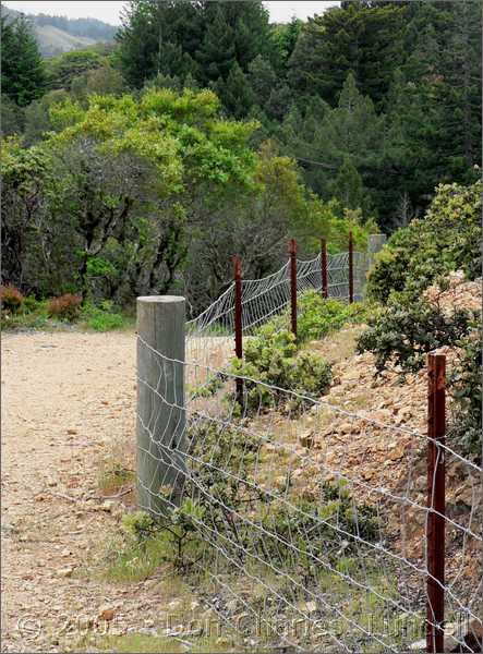 Bolinas Ridge