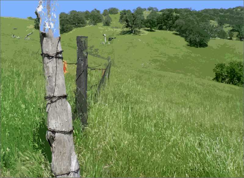 Fence line