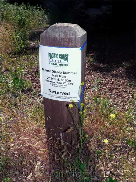 Sign post